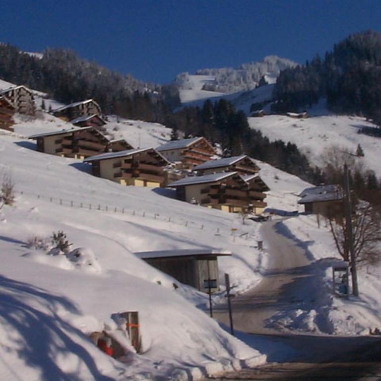 Châtel: T2 cosy 4 pers avec balcon - FR-1-198-268 - Appartement - 2