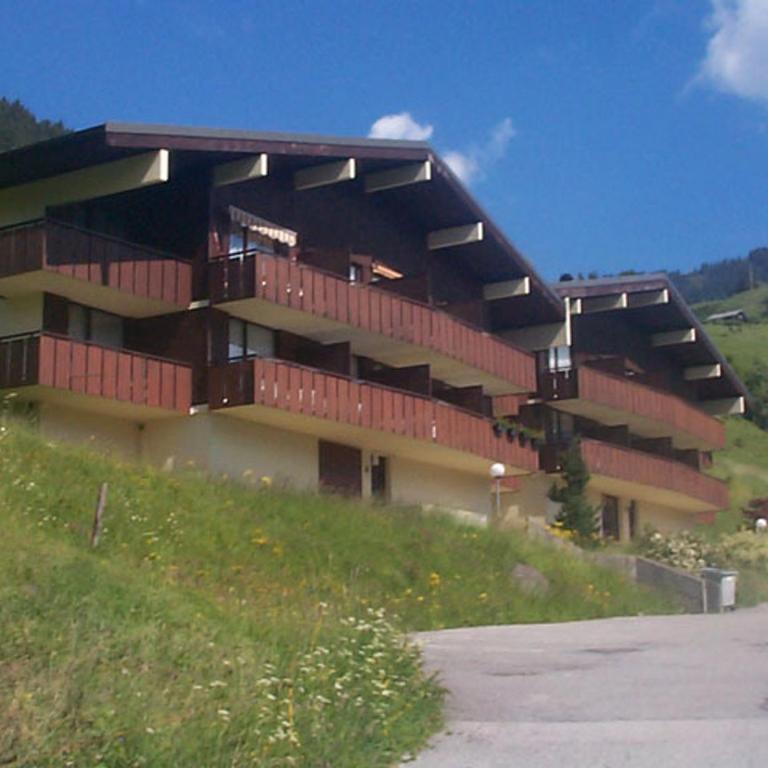Châtel: T2 cosy 4 pers avec balcon - FR-1-198-268 - Appartement - 7
