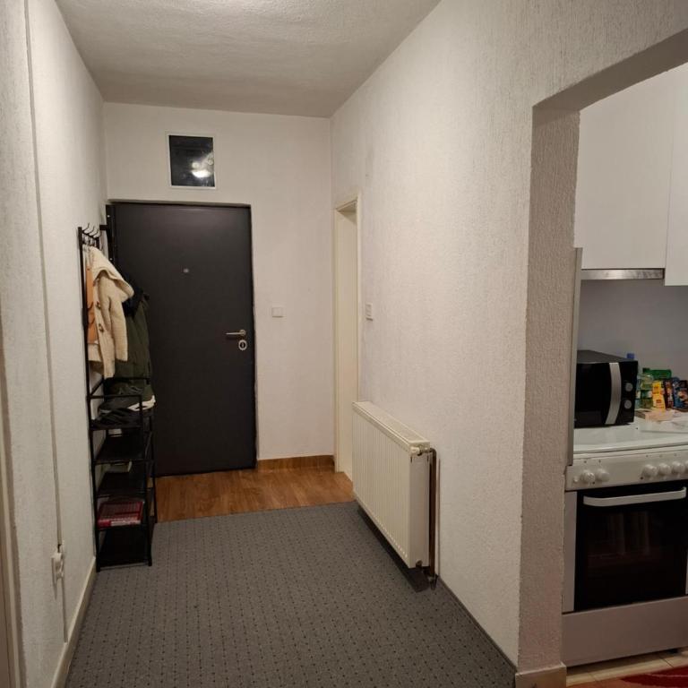 Razan - Apartman sa 1 Spavaćom Sobom - 7