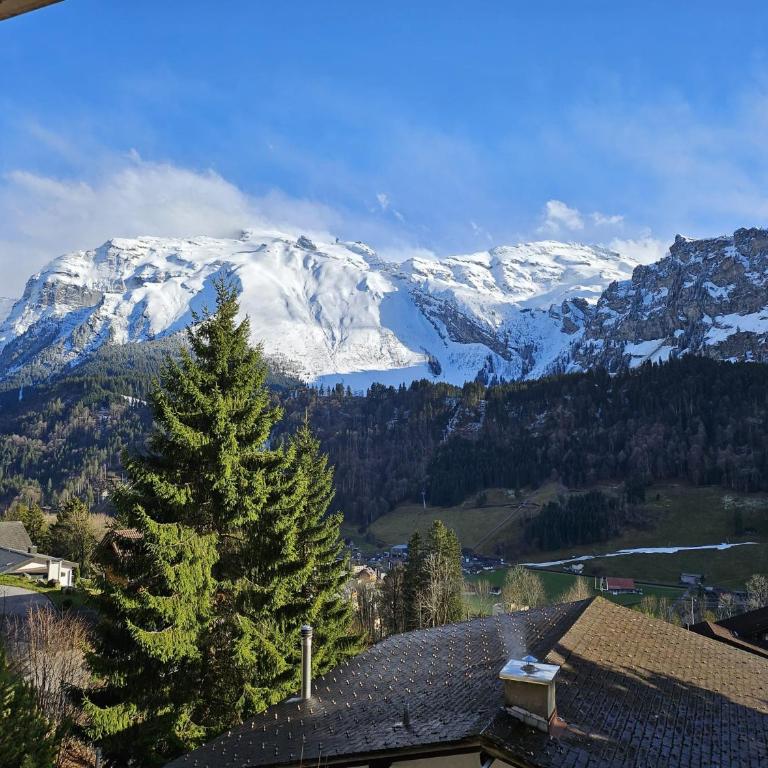 Luxury Escape - Titlis Panorama - Apartamento de 2 dormitorios con vistas a la montaña - 1