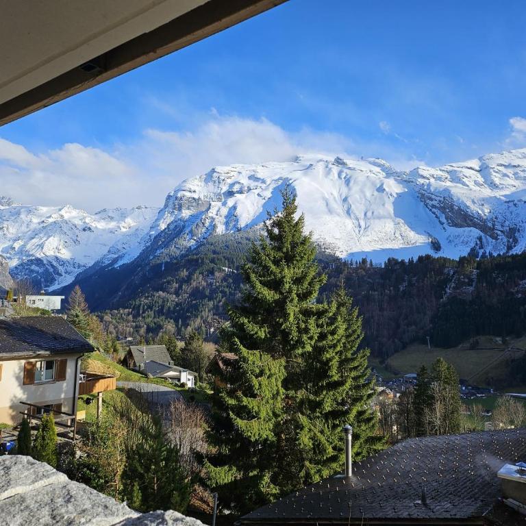 Luxury Escape - Titlis Panorama - Apartamento de 2 dormitorios con vistas a la montaña - 6