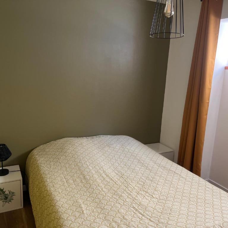 Le 24 carat appartement 3 pièces 50 m2 Beaurepaire - Appartement 2 Chambres - 11