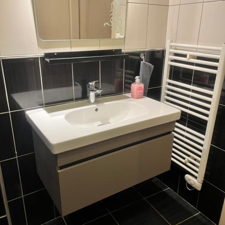 Le 24 carat appartement 3 pièces 50 m2 Beaurepaire - Appartement 2 Chambres - 29