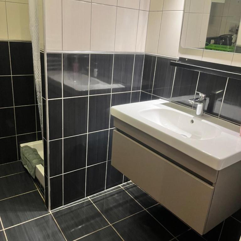Le 24 carat appartement 3 pièces 50 m2 Beaurepaire - Appartement 2 Chambres - 26