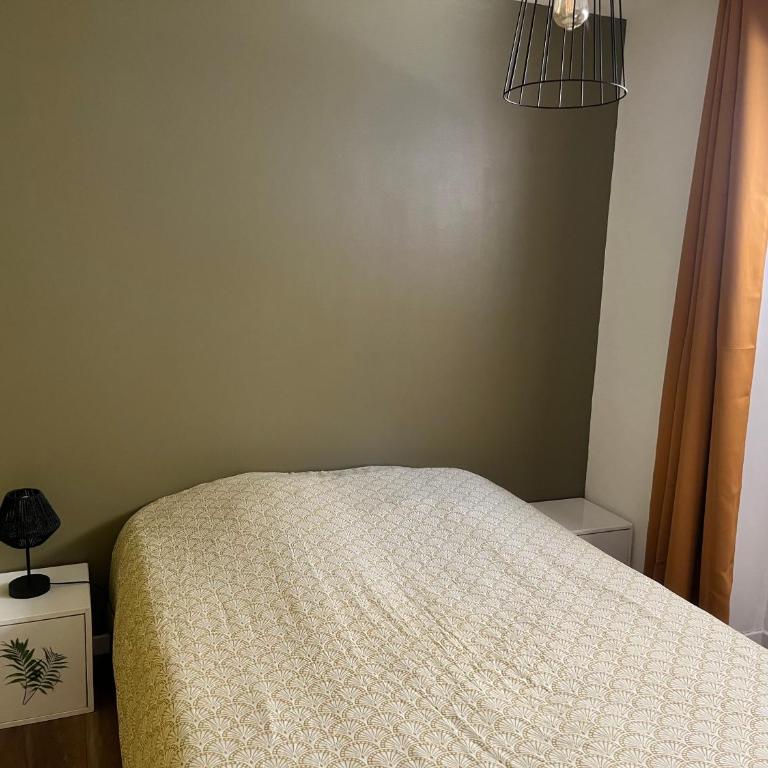 Le 24 carat appartement 3 pièces 50 m2 Beaurepaire - Appartement 2 Chambres - 23