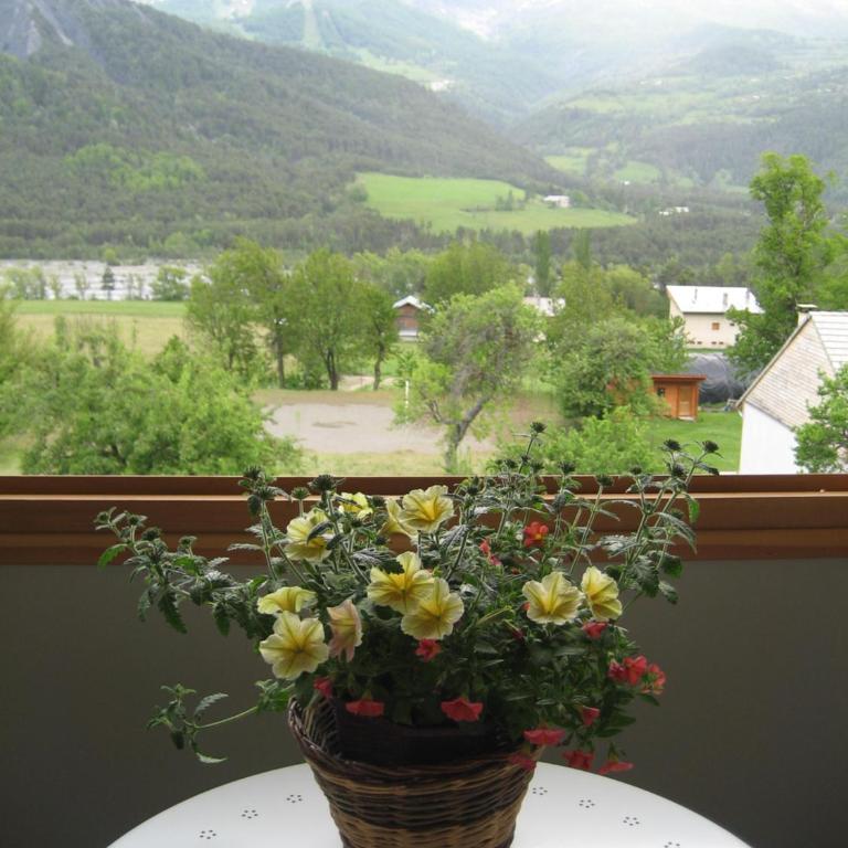 Alpes Montjoie - Appartement 1 Chambre - 3