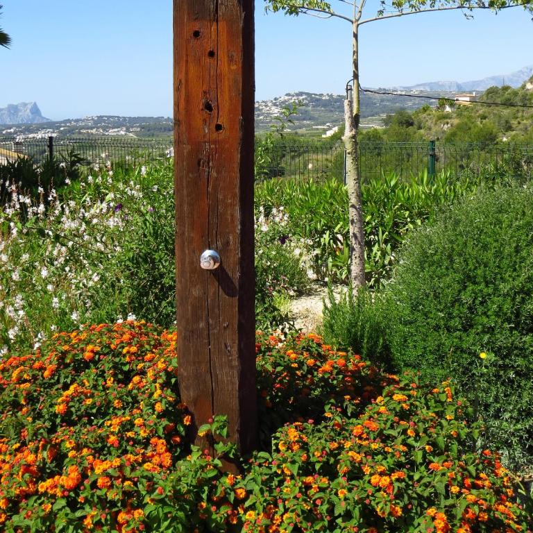 Finca Klara, Boutiquehotel - Apartment -Javea-Moraira- - Habitación Doble - 21