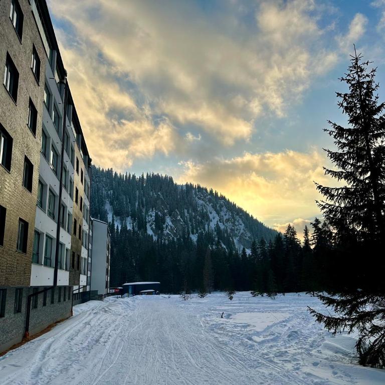 Apartman Vini - Apartman sa 1 Spavaćom Sobom - 38