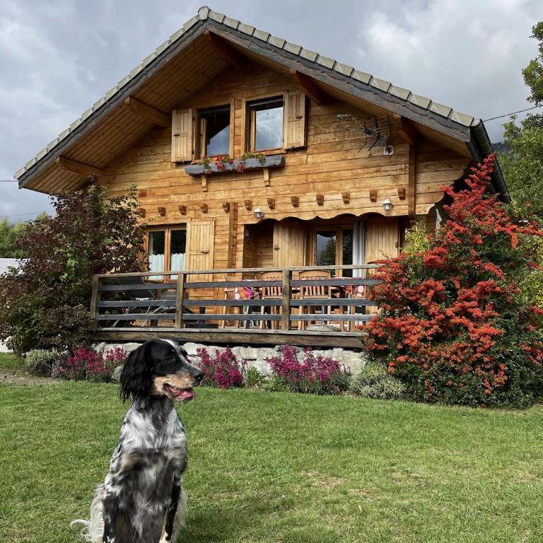 La Marmotte - Chalet 3 Chambres - 1