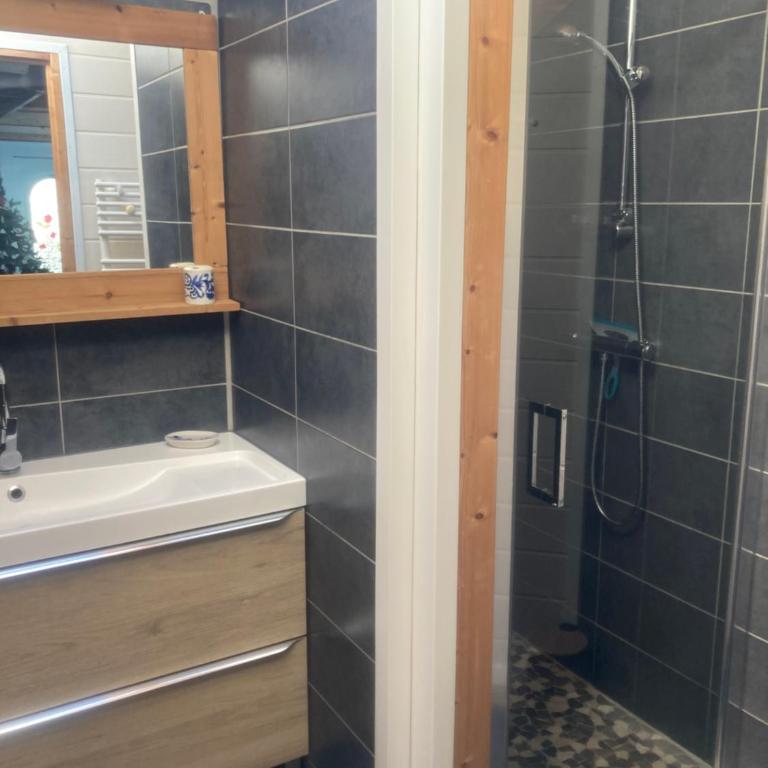 Chalet au coeur du vieux Gérardmer - Chalet 1 Chambre - 14