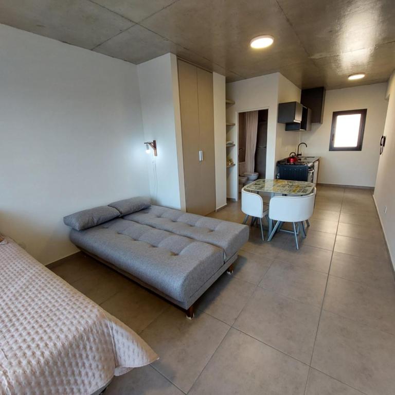 Tigre-Estación Fluvial Monoambiente - Apartamento de 1 dormitorio - 15
