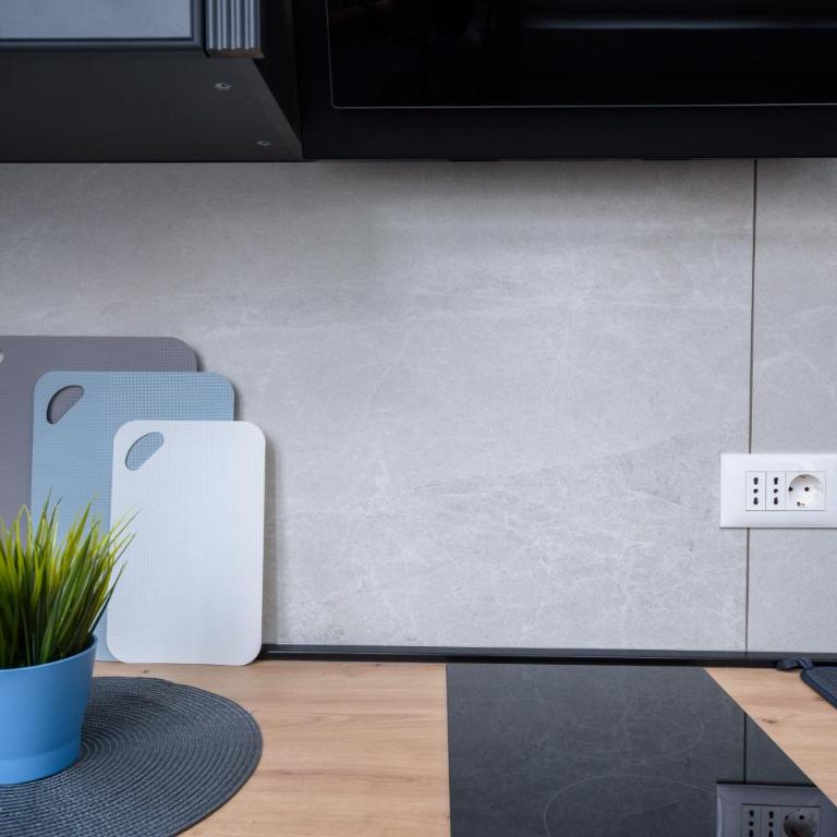 Top Central 6 Apartments - Apartman sa 1 Spavaćom Sobom - 11