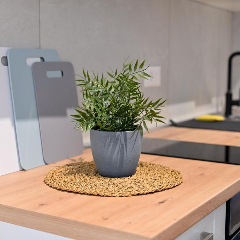 Top Central 6 Apartments - Apartman sa 1 Spavaćom Sobom - 8