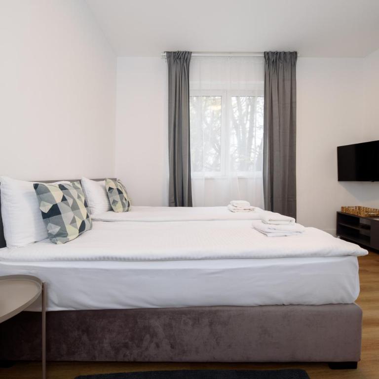 Top Central 6 Apartments - Apartman sa 1 Spavaćom Sobom - 4