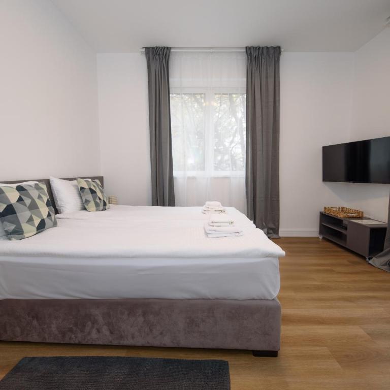 Top Central 6 Apartments - Apartman sa 1 Spavaćom Sobom - 13