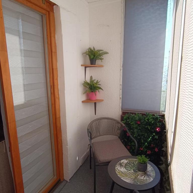 Slatki stančić na Koševu - One-Bedroom Apartment - 7