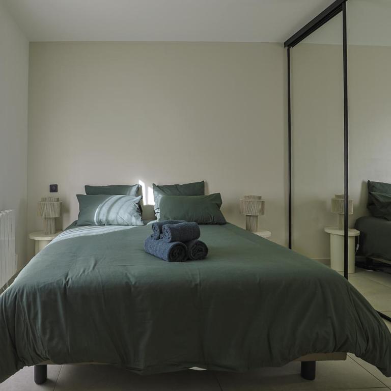 Superbe Appartement 1 chambre avec clim, terrasse et parking - Apartment mit 1 Schlafzimmer und Garten - 11