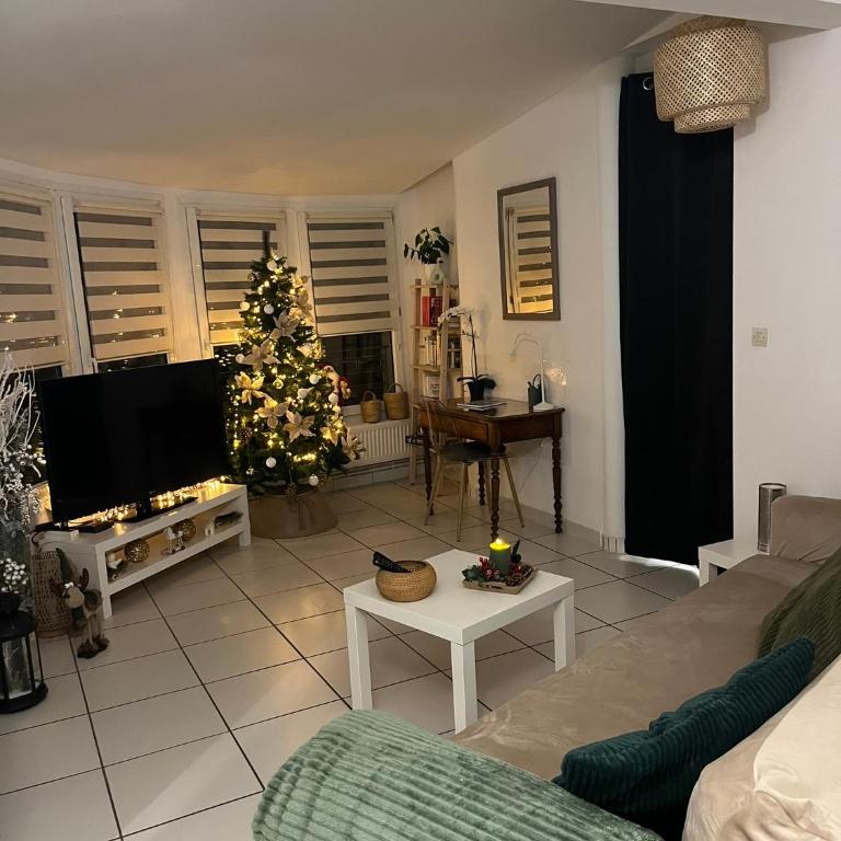 le marnie - Appartement 1 Chambre - 37