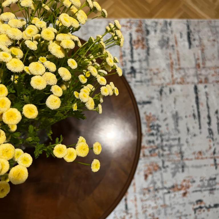 Urban Bliss Vračar - Apartman sa 1 Spavaćom Sobom - 1