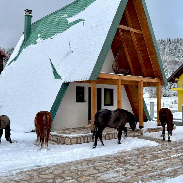 WoodSide Žabljak - Three-Bedroom House - 22