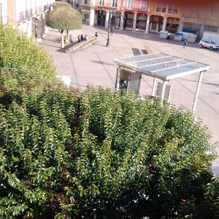Apartamento plaza Mayor con garaje - Apartamento de 2 dormitorios - 31