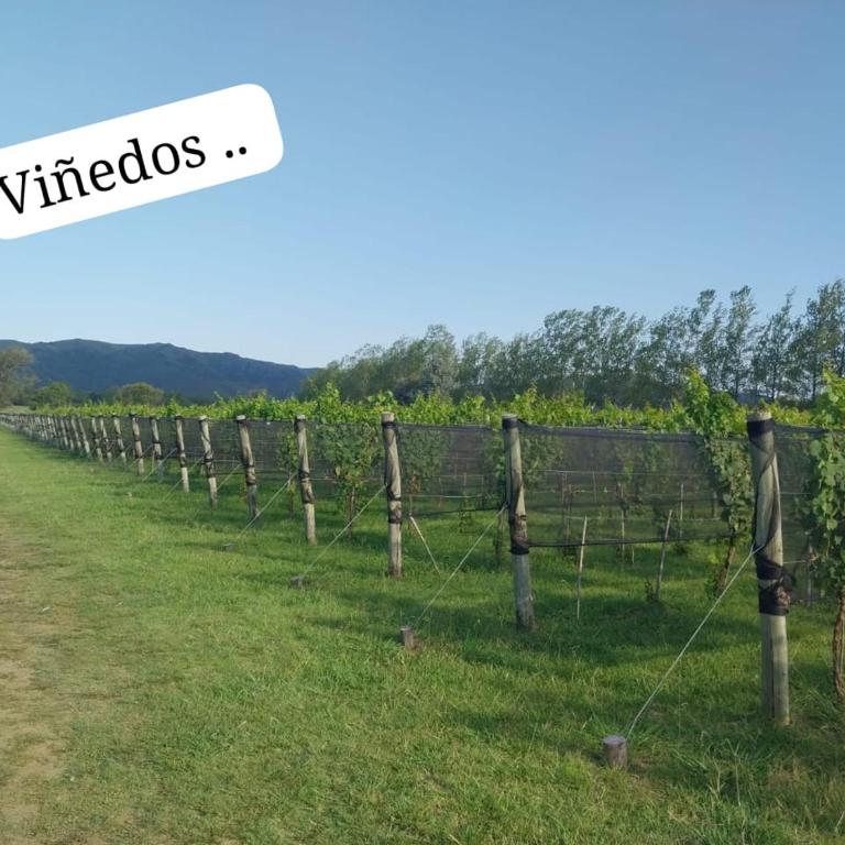 Cabaña Lago y Luna - Casa de 2 dormitorios - 10