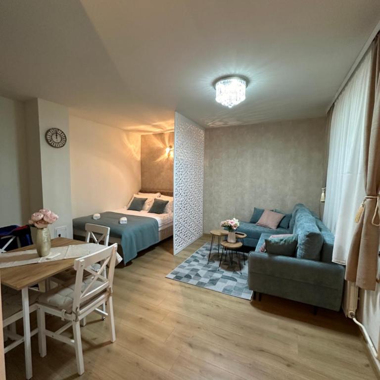 Apartment Story - One-Bedroom Apartment - 9