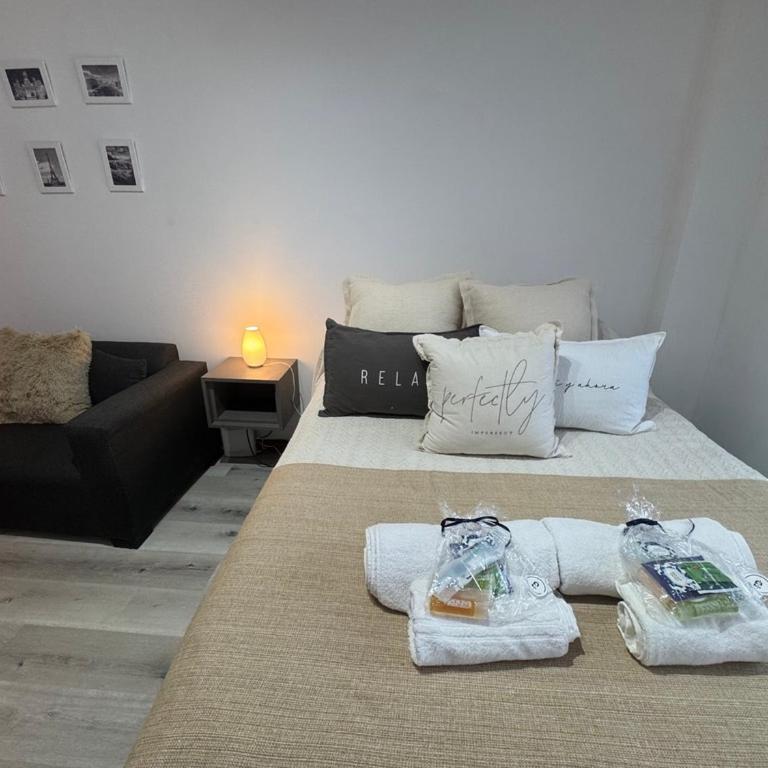 Amplio estudio con patio y parrilla a metros de la cancha de river - One-Bedroom Apartment - 22