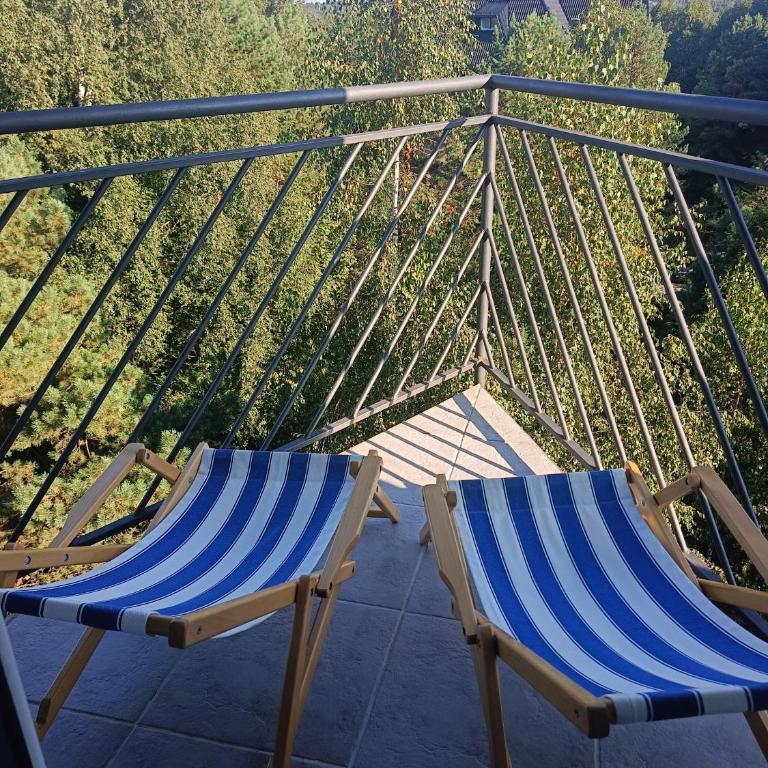 Forest Nest Divčibare - Apartman sa 1 Spavaćom Sobom - 3