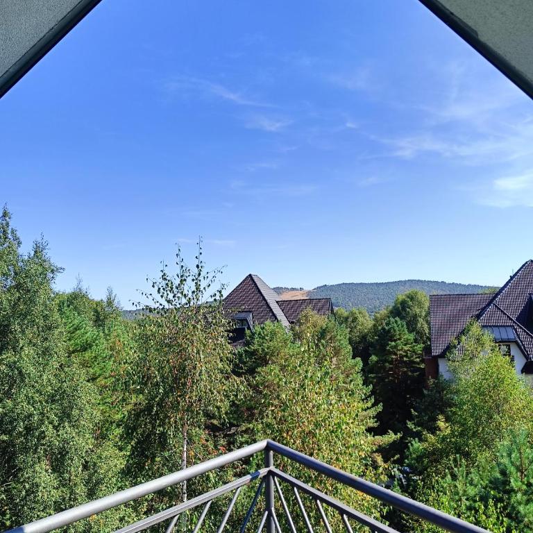 Forest Nest Divčibare - Apartman sa 1 Spavaćom Sobom - 1