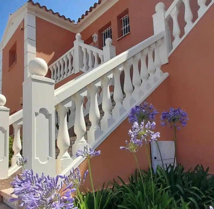 Oliva Nova Playa Golf MET - Apartamento de 2 dormitorios - 18