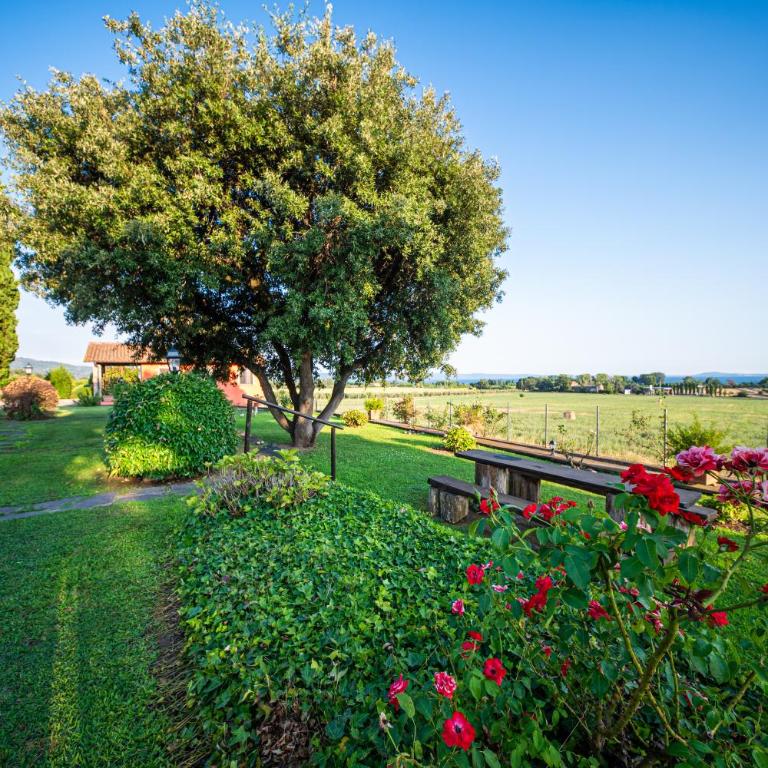 Agriturismo L'Elce - Appartamento con Terrazza - 2