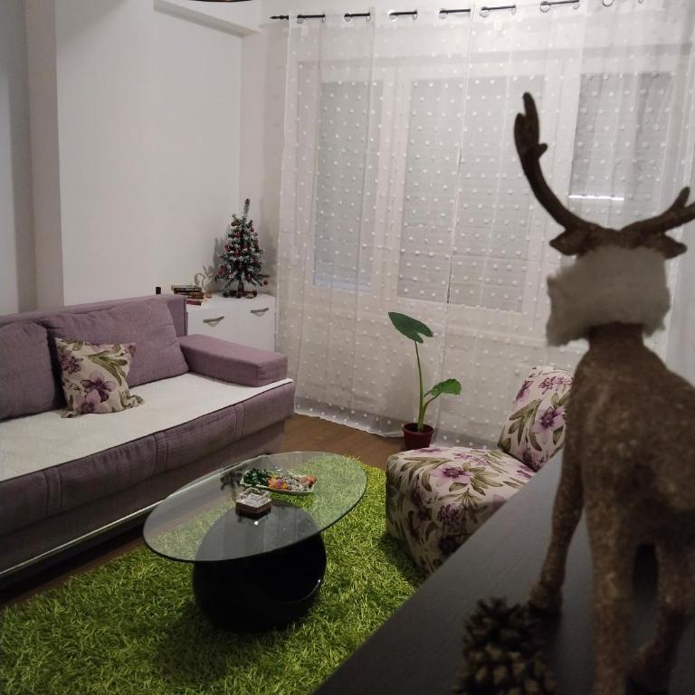 Apartman IJA - Apartman sa 1 Spavaćom Sobom - 6