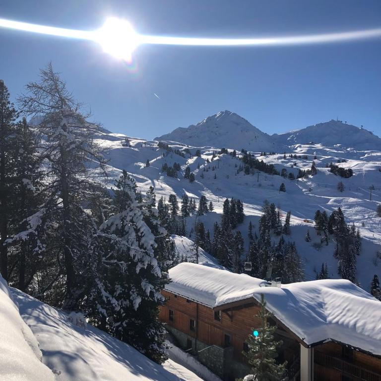 Appartement à Belle Plagne au pied des pistes - Appartamento con 1 Camera da Letto - 13