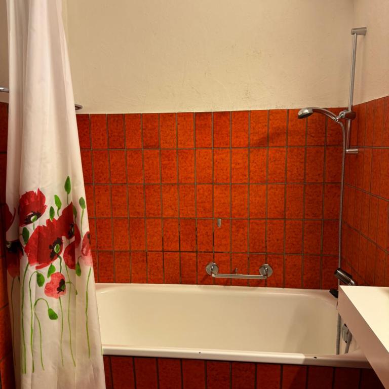 Sehr Schöne Wohnung in Engelberg - Apartment mit 1 Schlafzimmer - 7