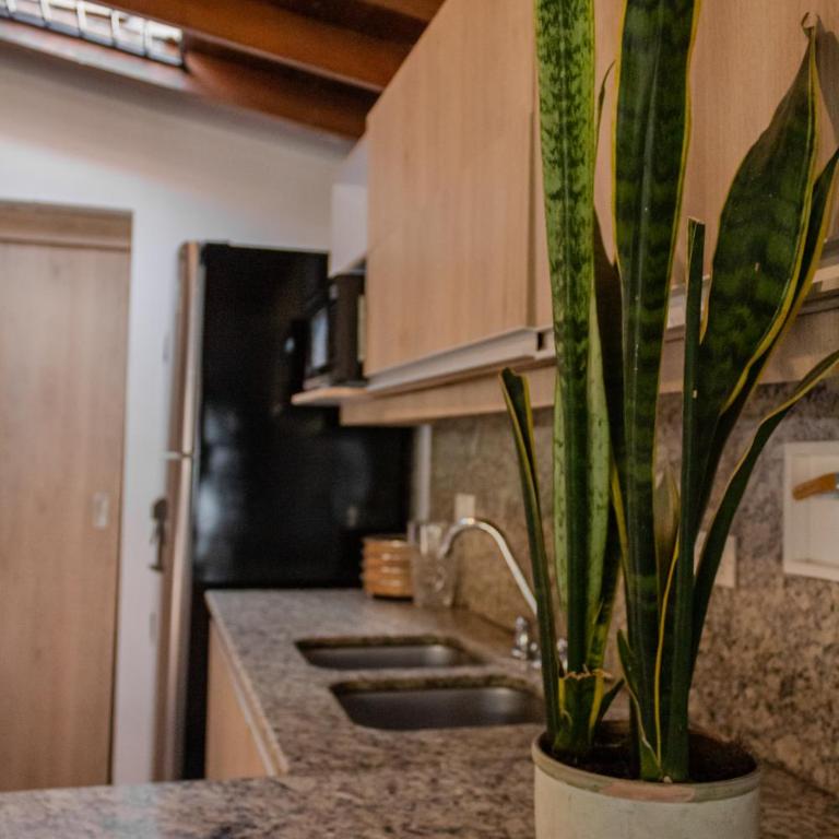 Villa Bolivar - Apartamento de 3 dormitorios - 29