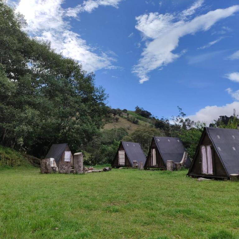 Glamping Hosteria Las Orquideas - Chalet - 2