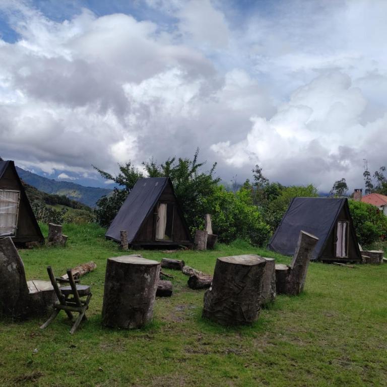 Glamping Hosteria Las Orquideas - Chalet - 5