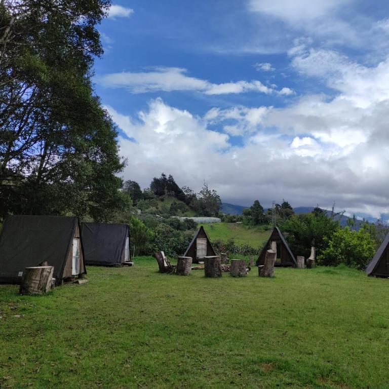 Glamping Hosteria Las Orquideas - Chalet - 4