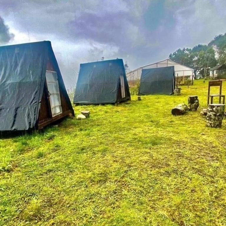 Glamping Hosteria Las Orquideas - Chalet - 6