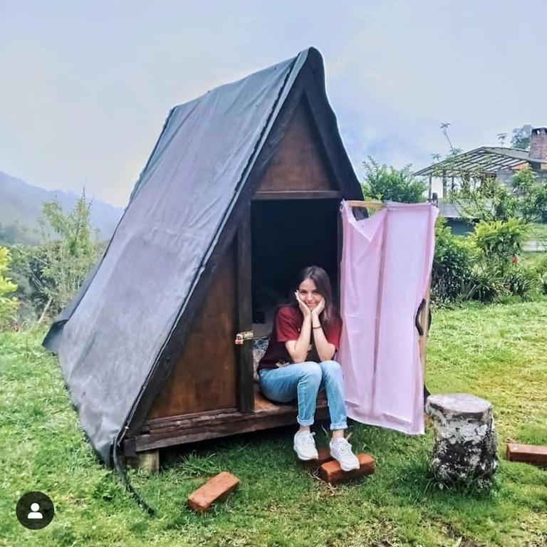 Glamping Hosteria Las Orquideas - Chalet - 8
