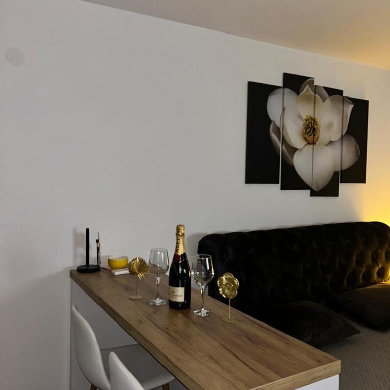 Apartman Sneznik - Apartman sa 1 Spavaćom Sobom - 9
