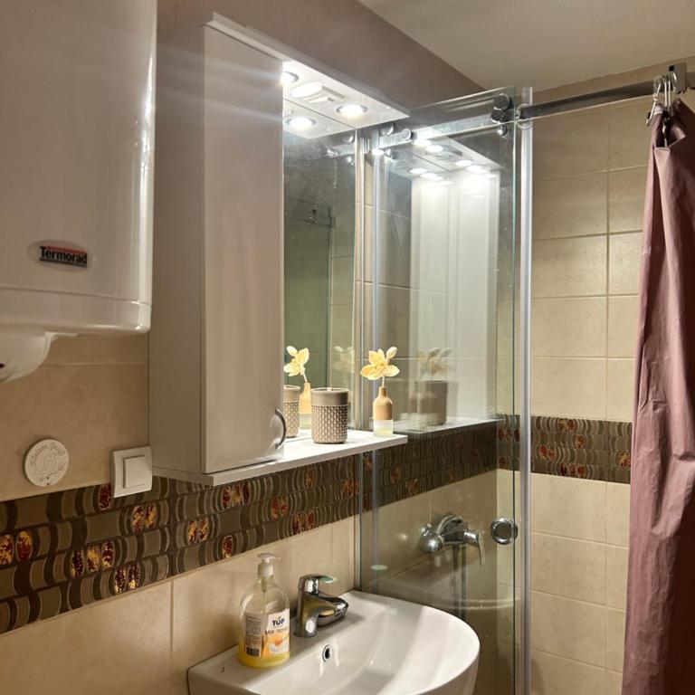 Apartman Sneznik - Apartman sa 1 Spavaćom Sobom - 10