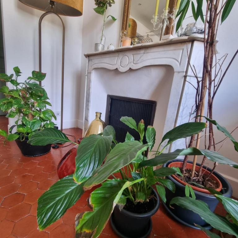 Appartement CLADA/ Côté Lac - Appartamento con 1 Camera da Letto - 44