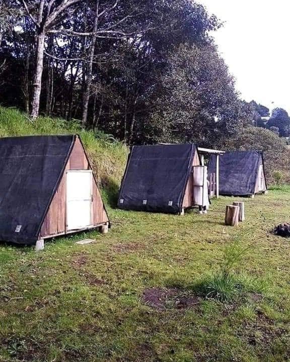 Glamping Hosteria Las Orquideas - Chalet - 11