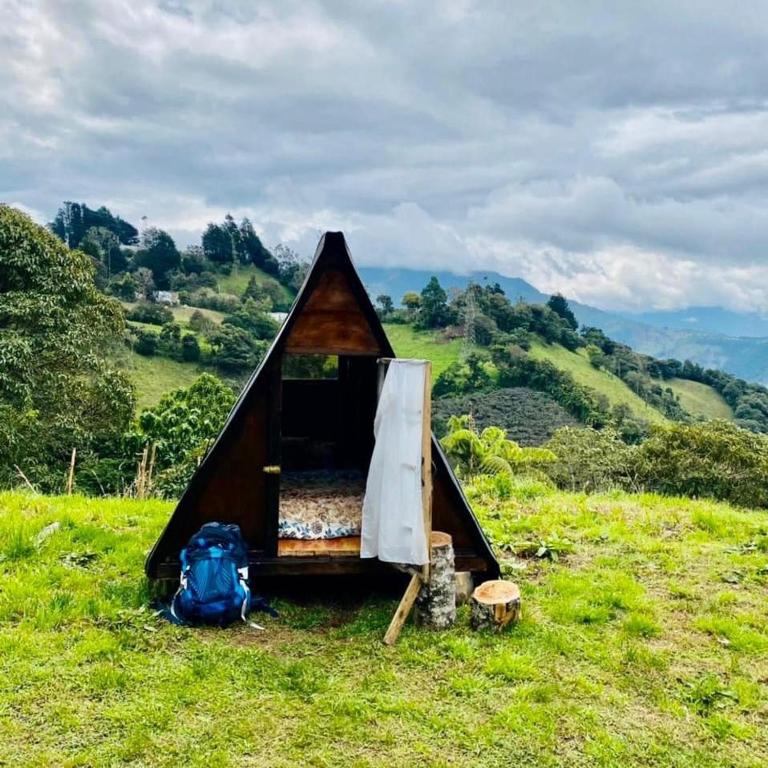 Glamping Hosteria Las Orquideas - Chalet - 10
