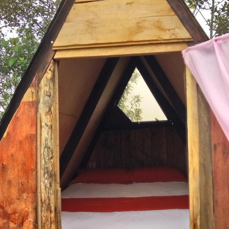 Glamping Hosteria Las Orquideas - Chalet - 9