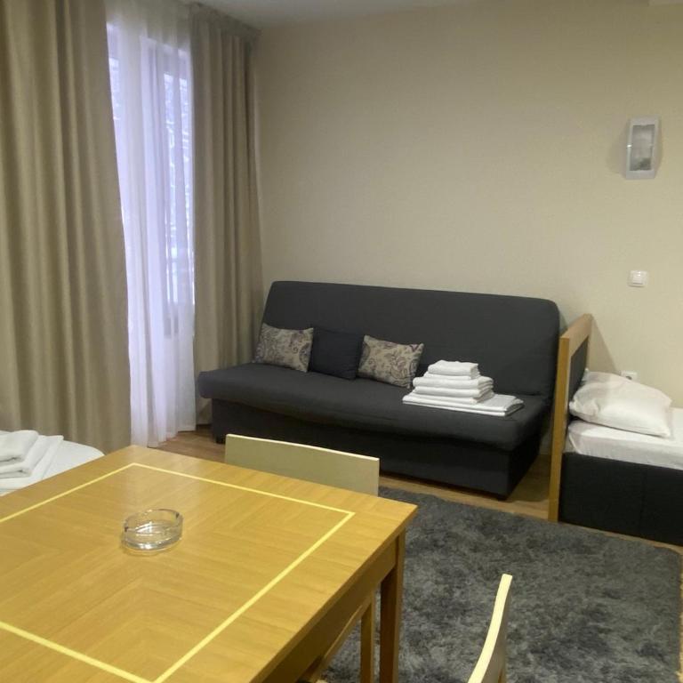 M Lux Kopaonik 2 - Apartman sa 1 Spavaćom Sobom - 3