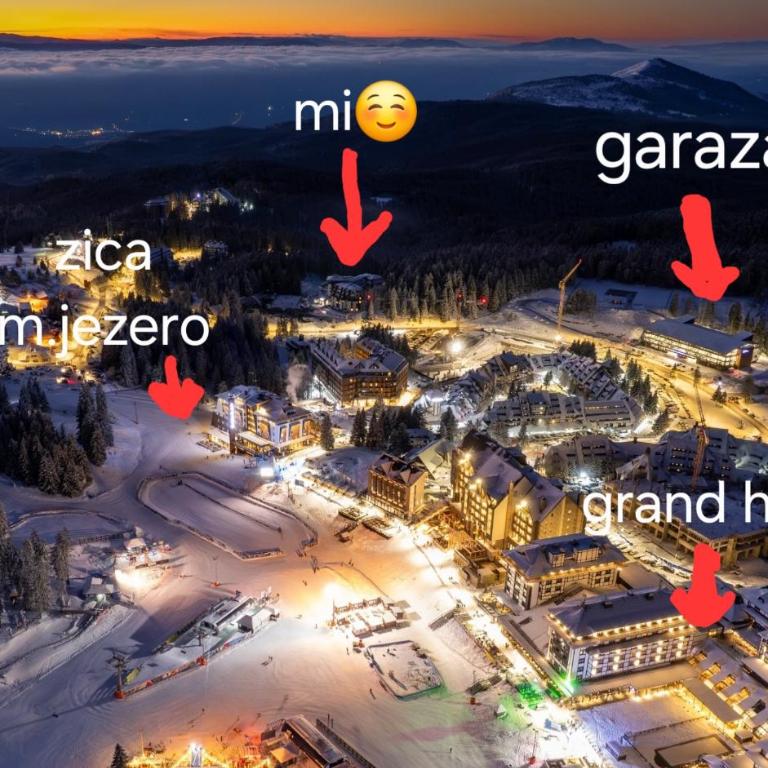 Tavita Kopaonik - Apartman sa 1 Spavaćom Sobom - 4