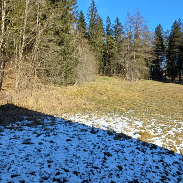 Appartements Dorner, Semmering - Apartment mit 1 Schlafzimmer und Gartenblick - 2